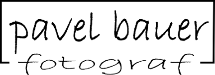 logo Bauer 600